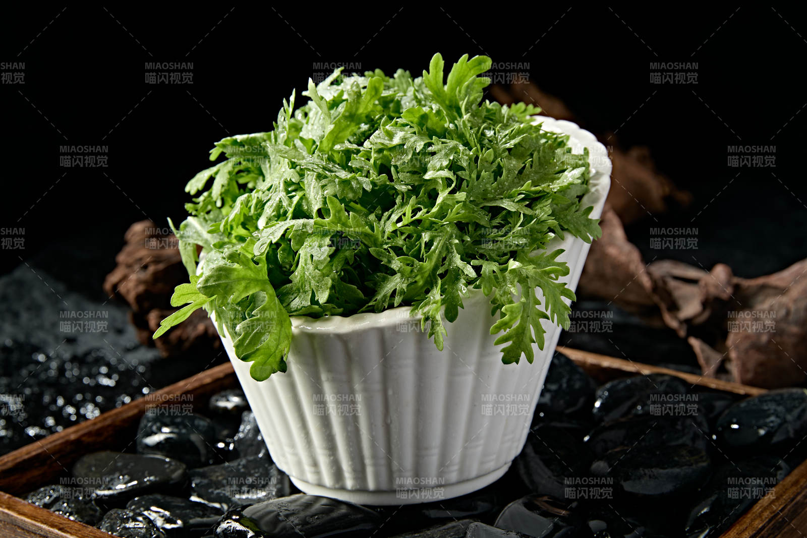 新鲜的火锅食材茼蒿蒿子秆图片