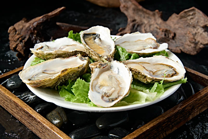 火锅食材鲜开生蚝图片