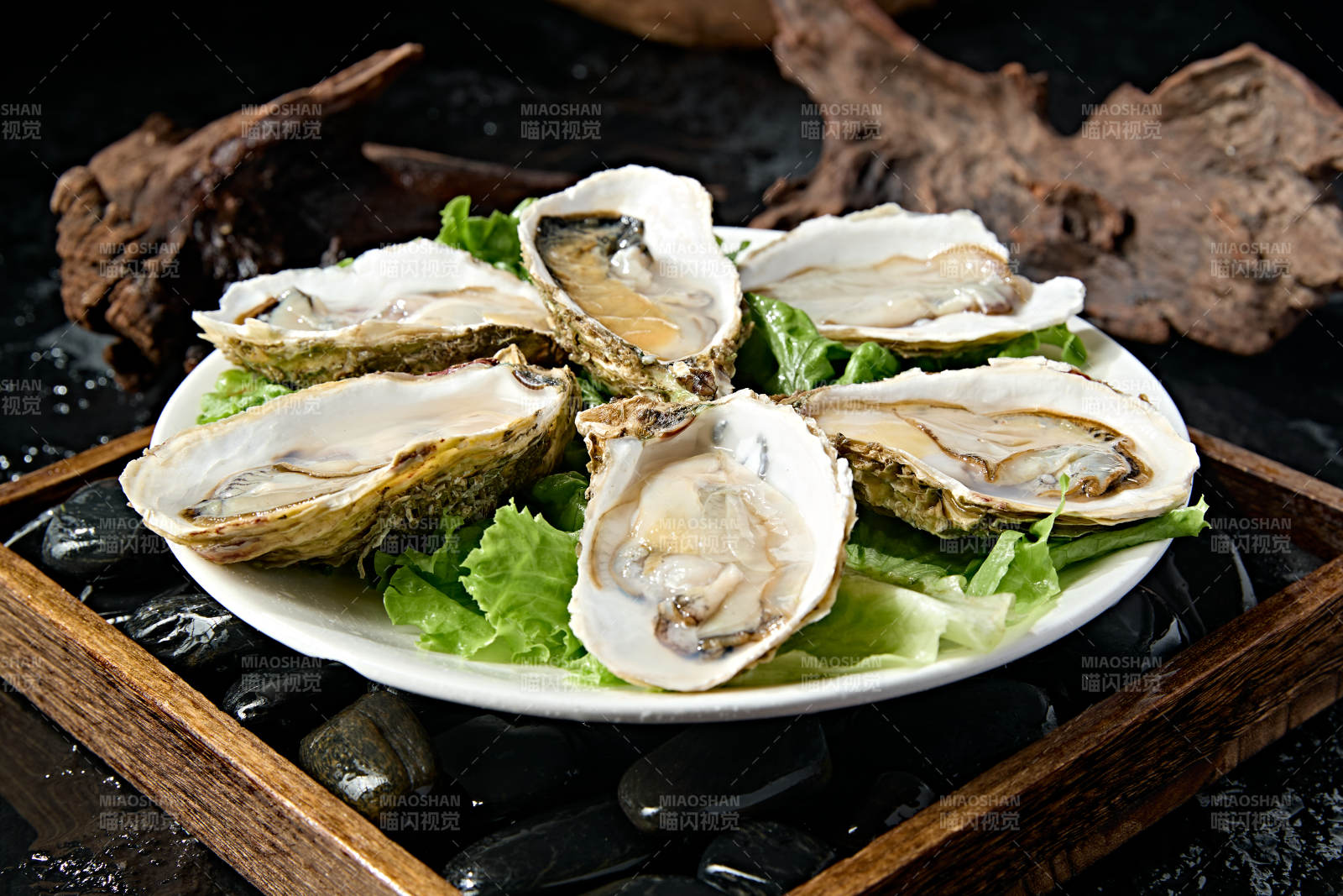 火锅食材鲜开生蚝图片