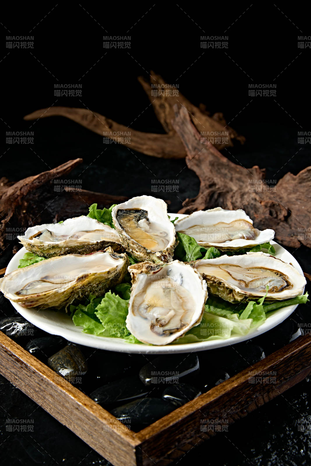 火锅食材鲜开生蚝图片