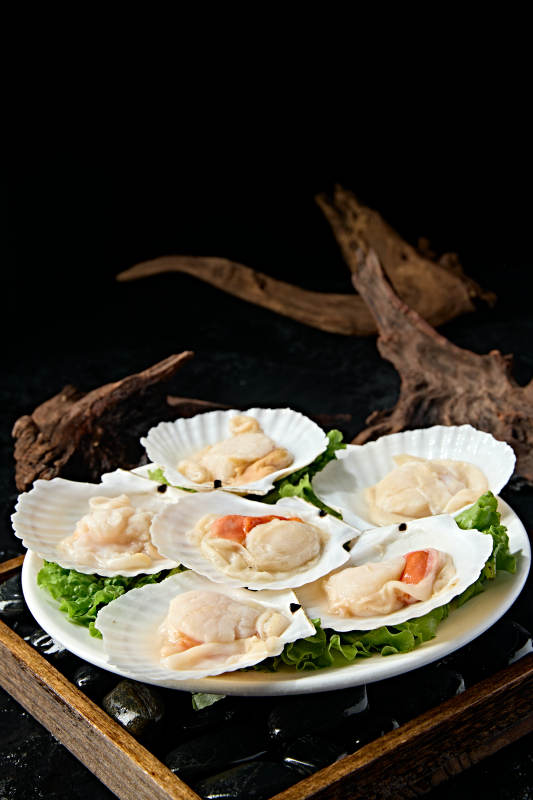 火锅食材新鲜扇贝图片