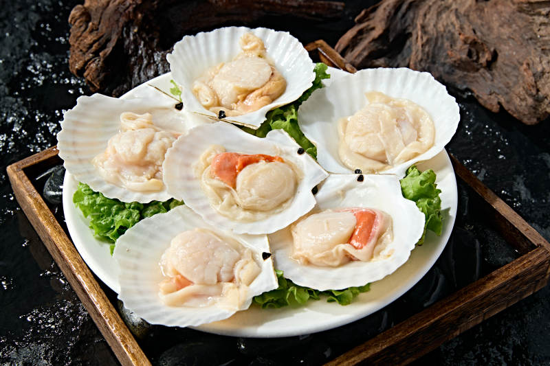 火锅食材新鲜扇贝图片