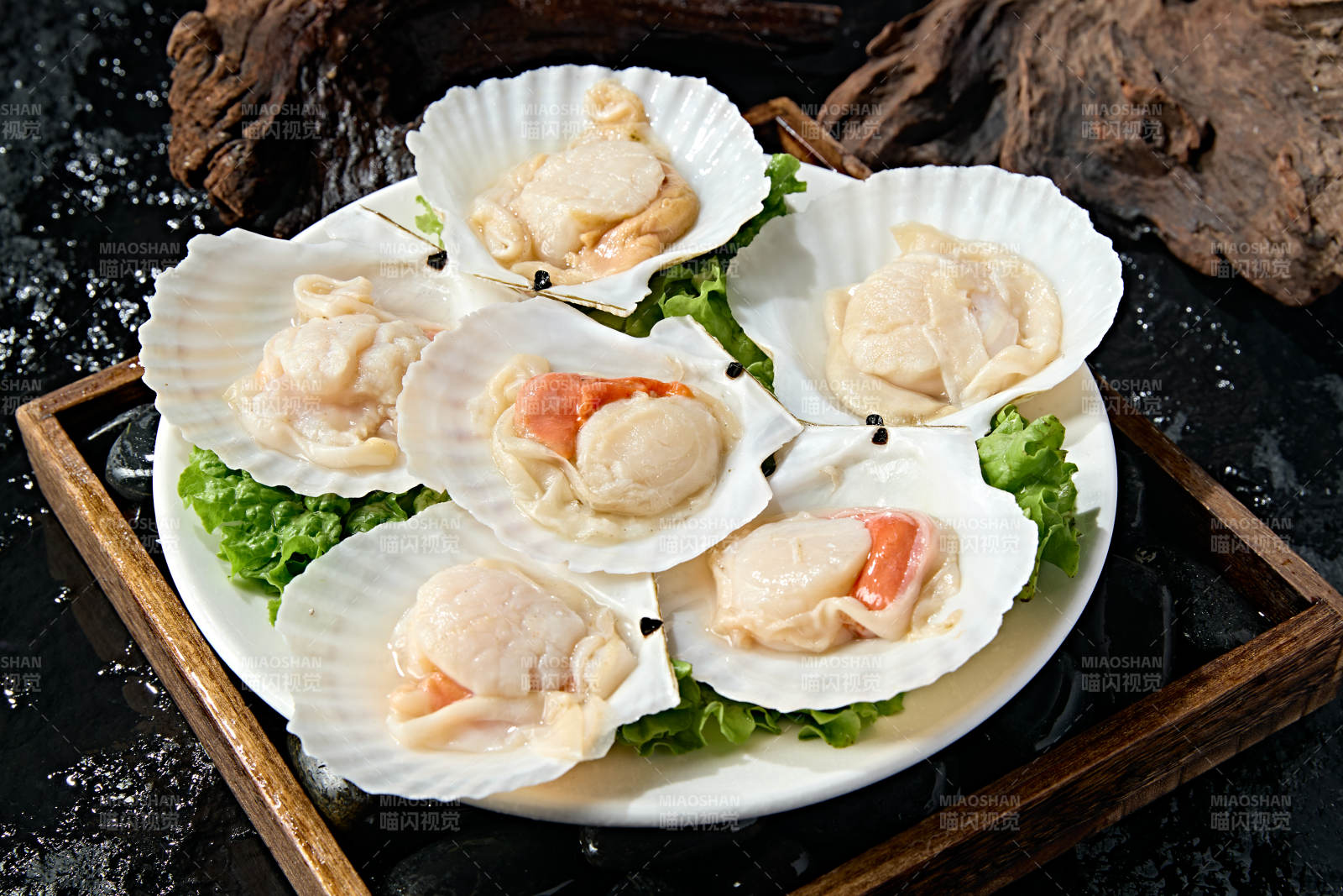 火锅食材新鲜扇贝图片