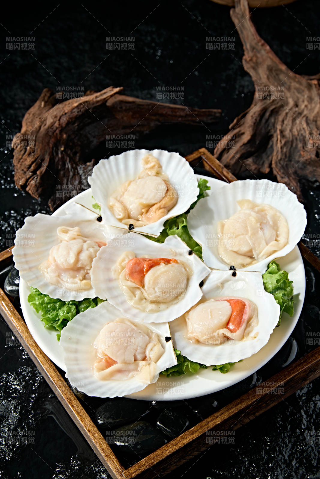 火锅食材新鲜扇贝图片