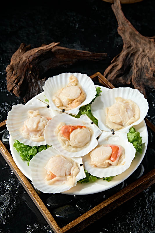 火锅食材新鲜扇贝图片