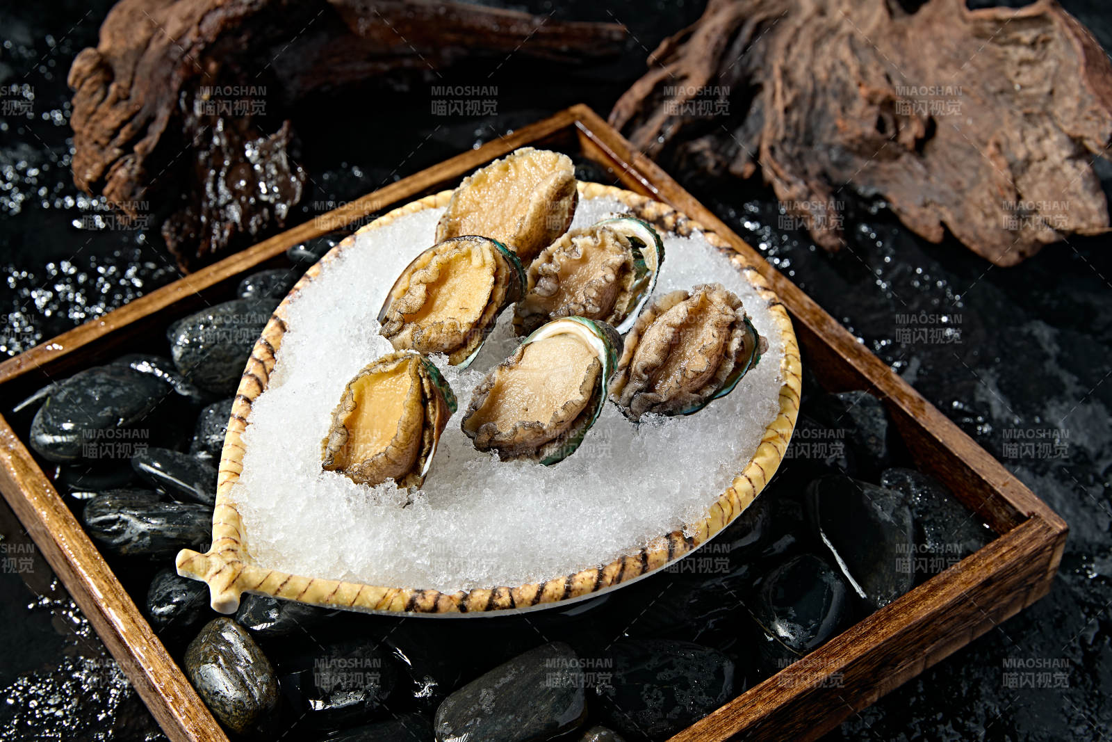 火锅食材新鲜鲍鱼图片