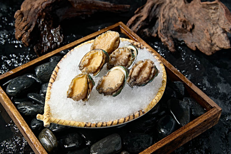 火锅食材新鲜鲍鱼图片