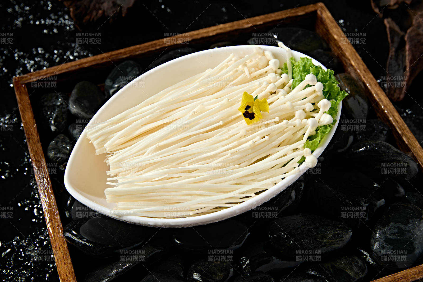 火锅食材新鲜食用菌金针菇图片