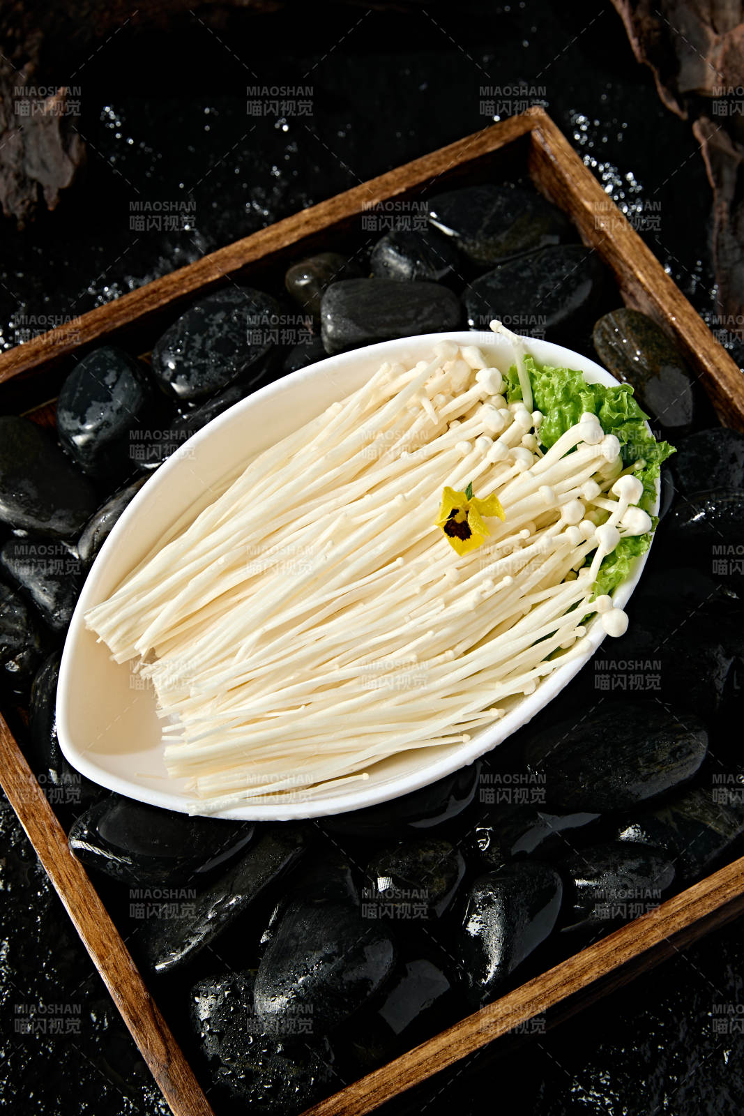 火锅食材新鲜食用菌金针菇图片