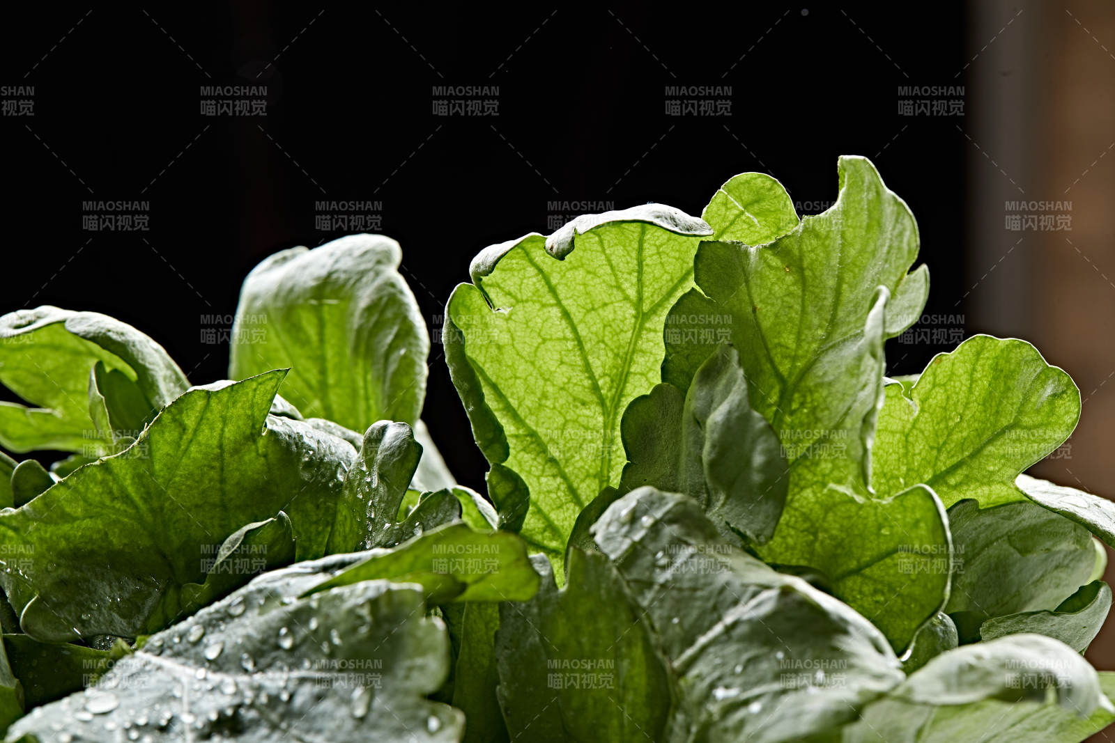 火锅食材鸡毛菜图片