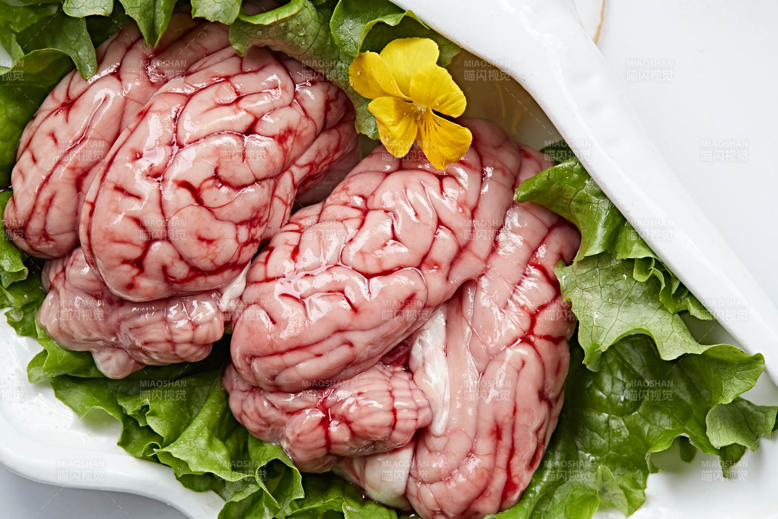火锅食材鲜猪脑花图片