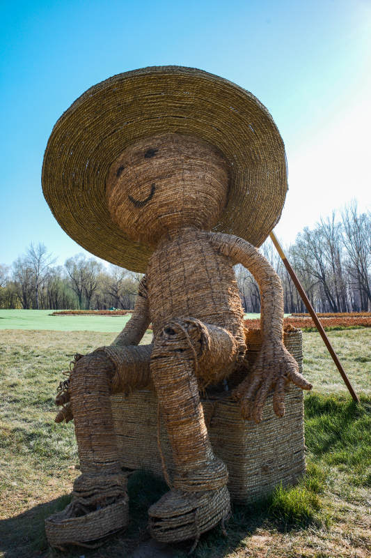 北京海淀稻香花海—稻草人静坐田园图片