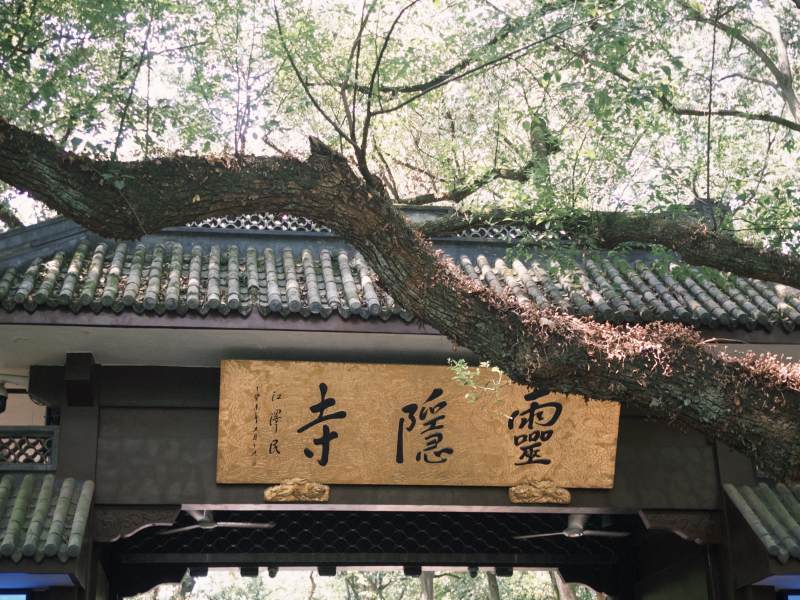 灵隐寺古树掩映图片