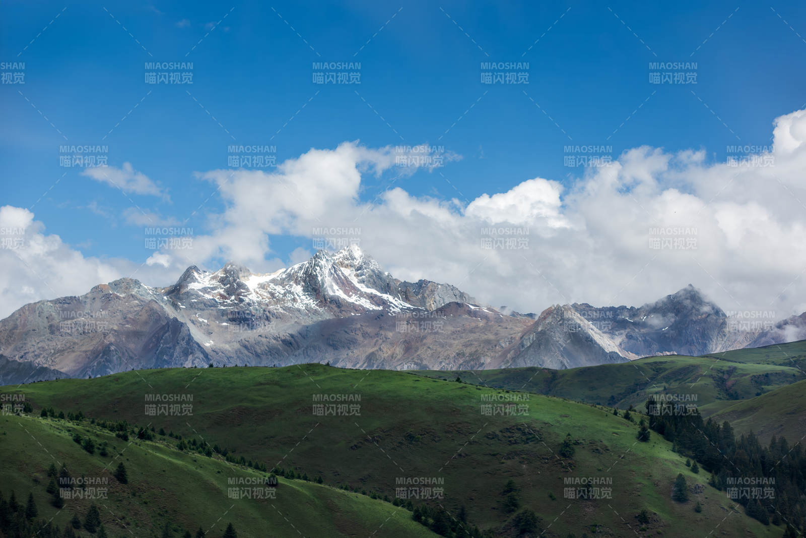 四川格聂雪山绿野风光图片