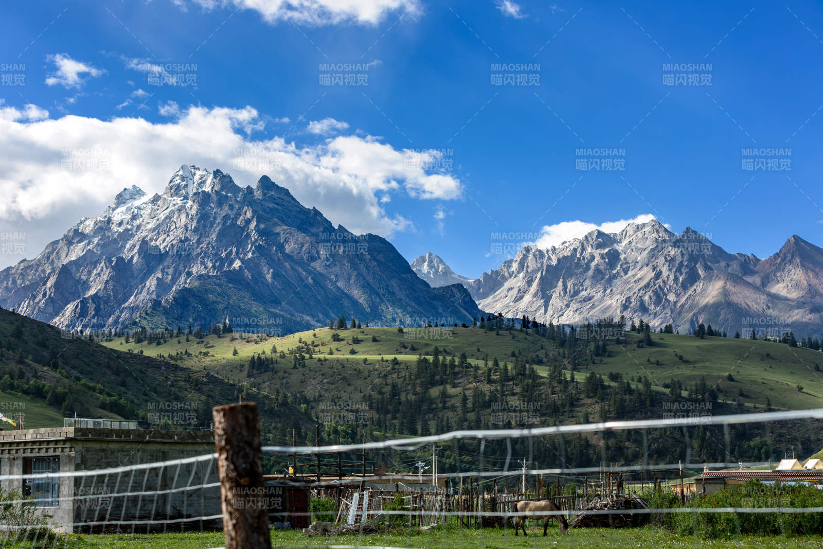 四川甘孜理塘雪山草原风光图片