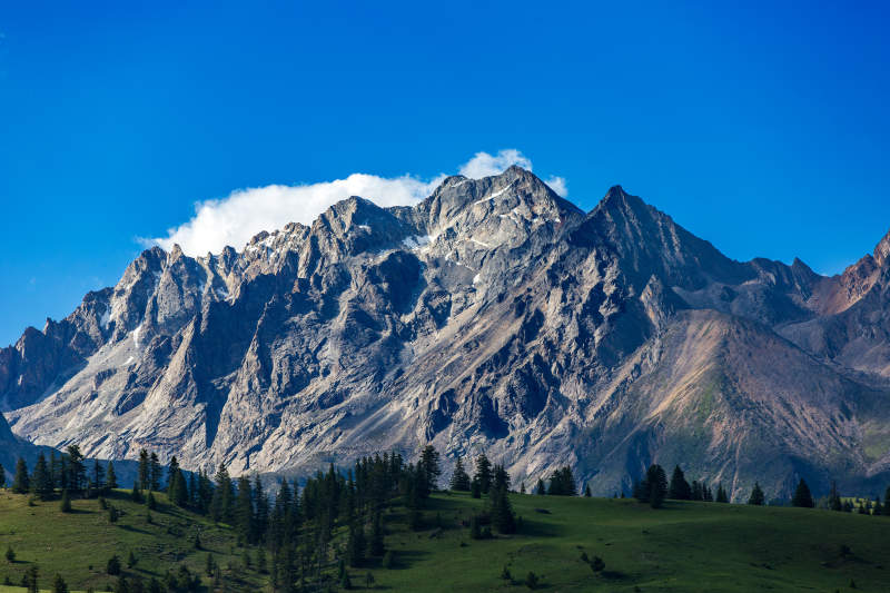 四川格聂雪山巍峨 绿野如茵图片