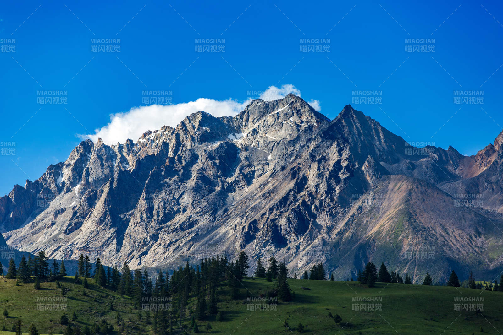 四川格聂雪山巍峨 绿野如茵图片