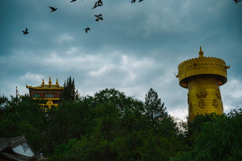 飞鸟掠过独克宗金塔图片