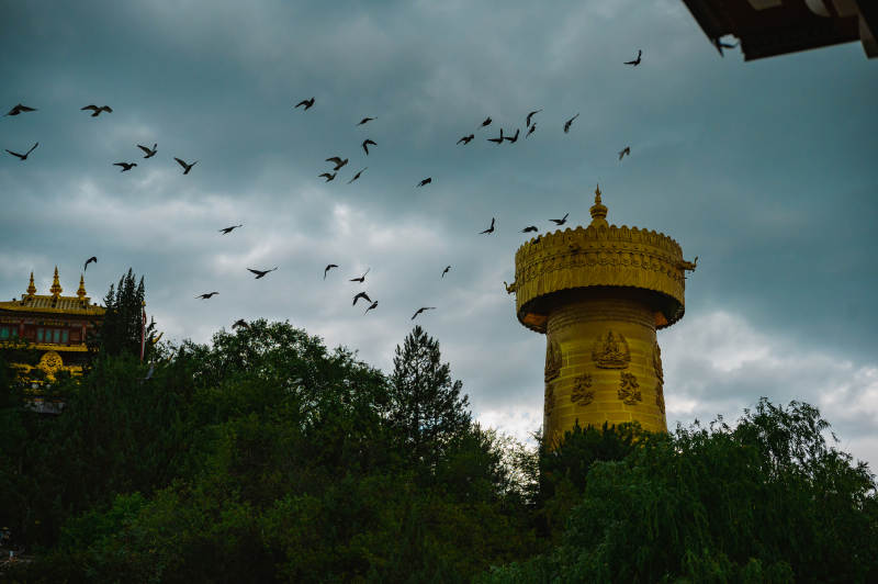 独克宗飞鸟绕金塔图片