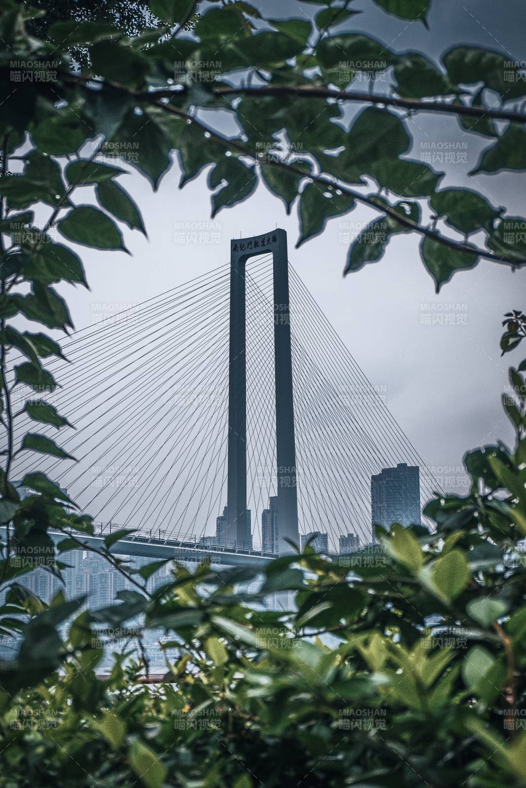 重庆南纪门轨道大桥图片