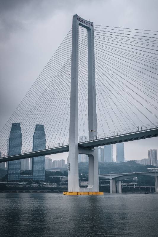 重庆南纪门大桥与长江国际同框图片