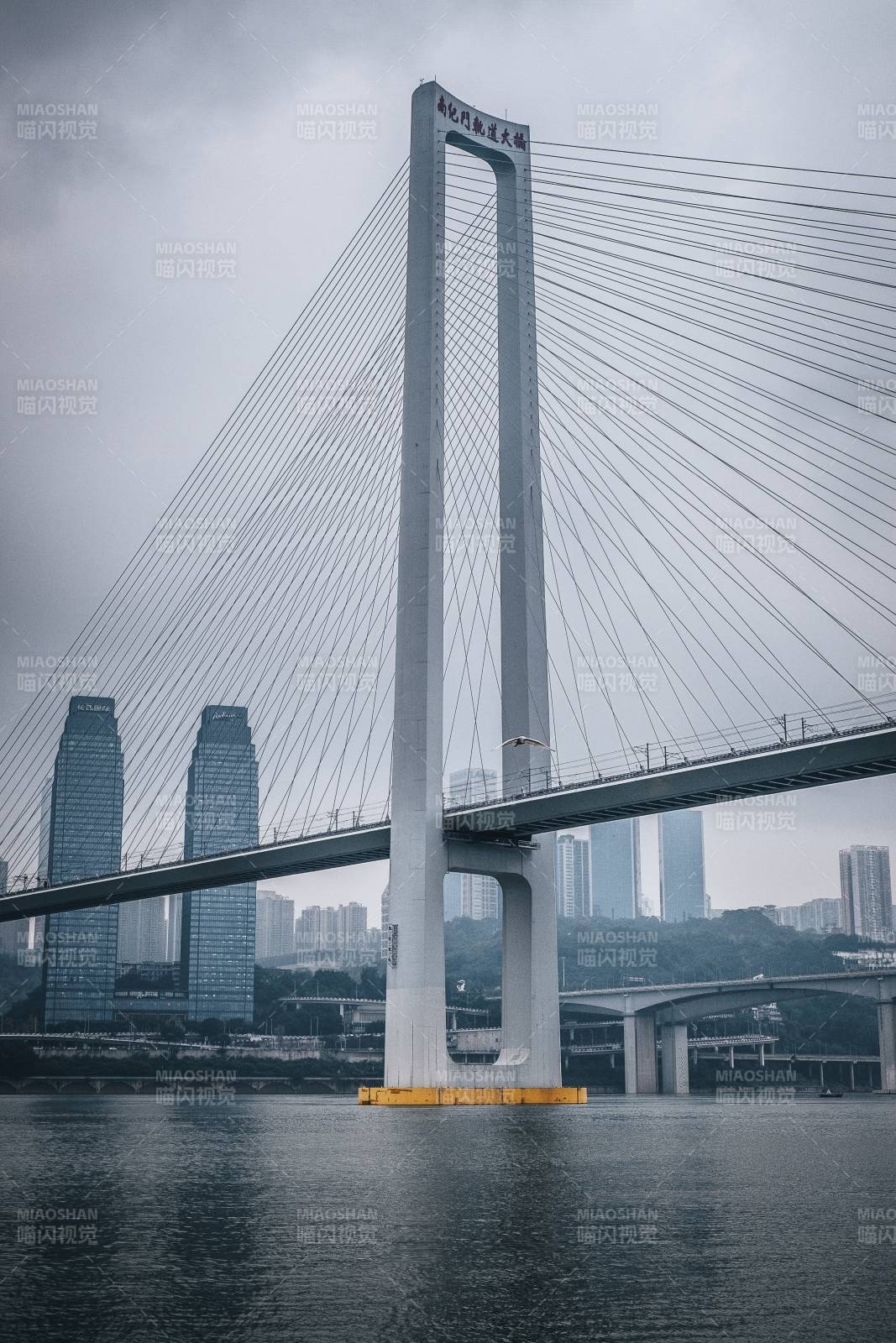 重庆南纪门大桥与长江国际同框图片