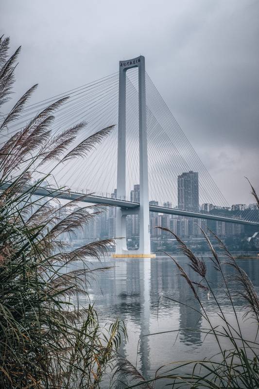 重庆南纪门轨道大桥图片