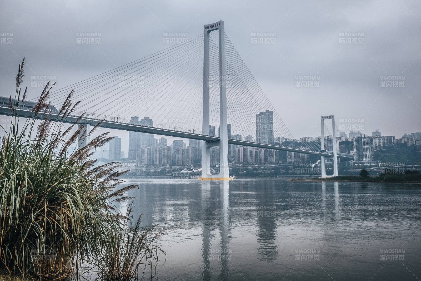 重庆南纪门轨道大桥图片