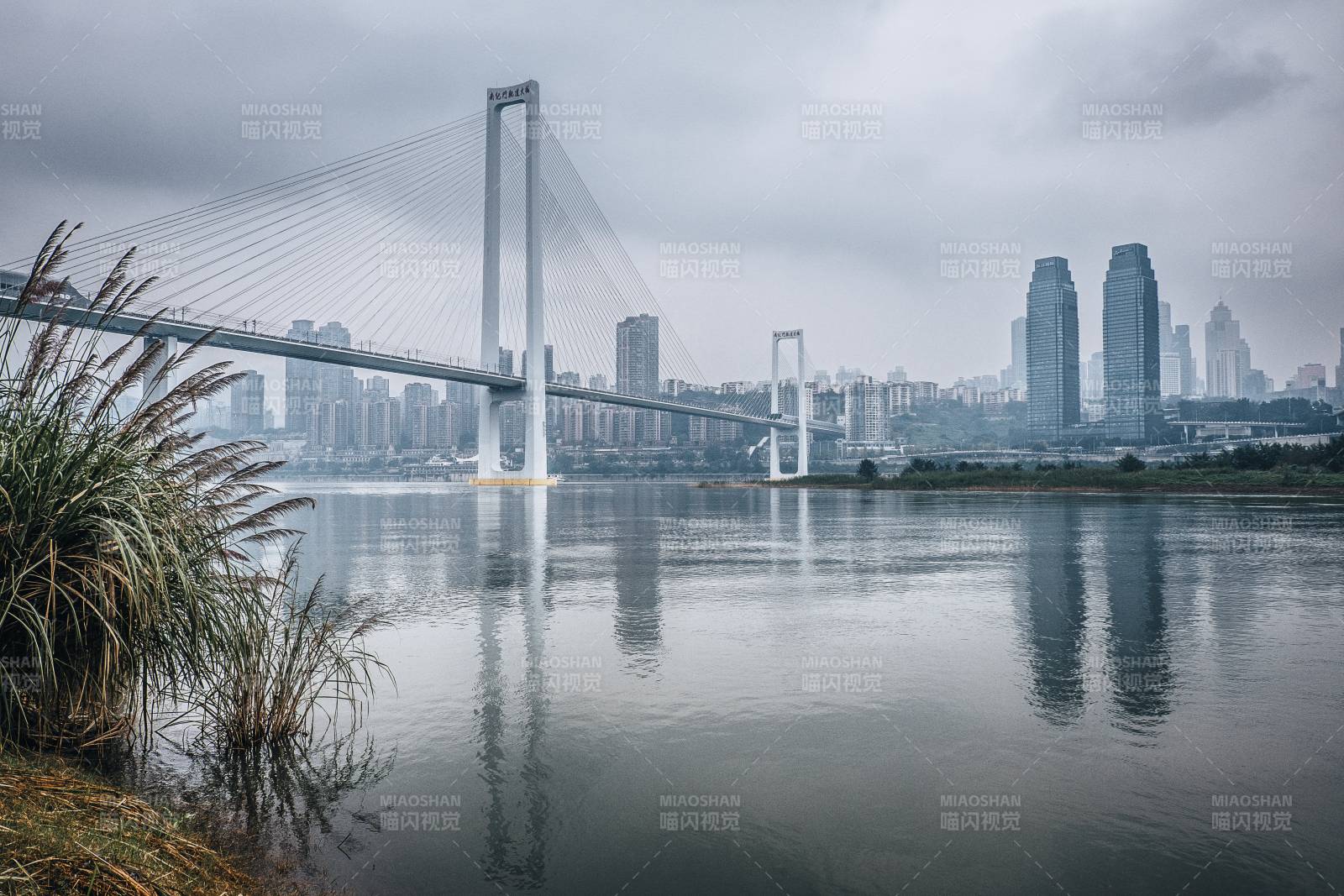 重庆南纪门大桥与长江国际同框图片