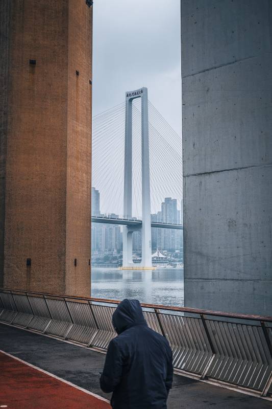 重庆南纪门轨道大桥图片