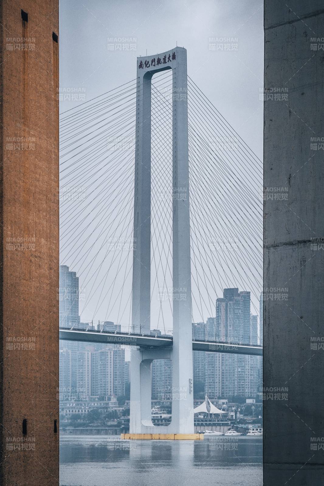 重庆南纪门轨道大桥图片