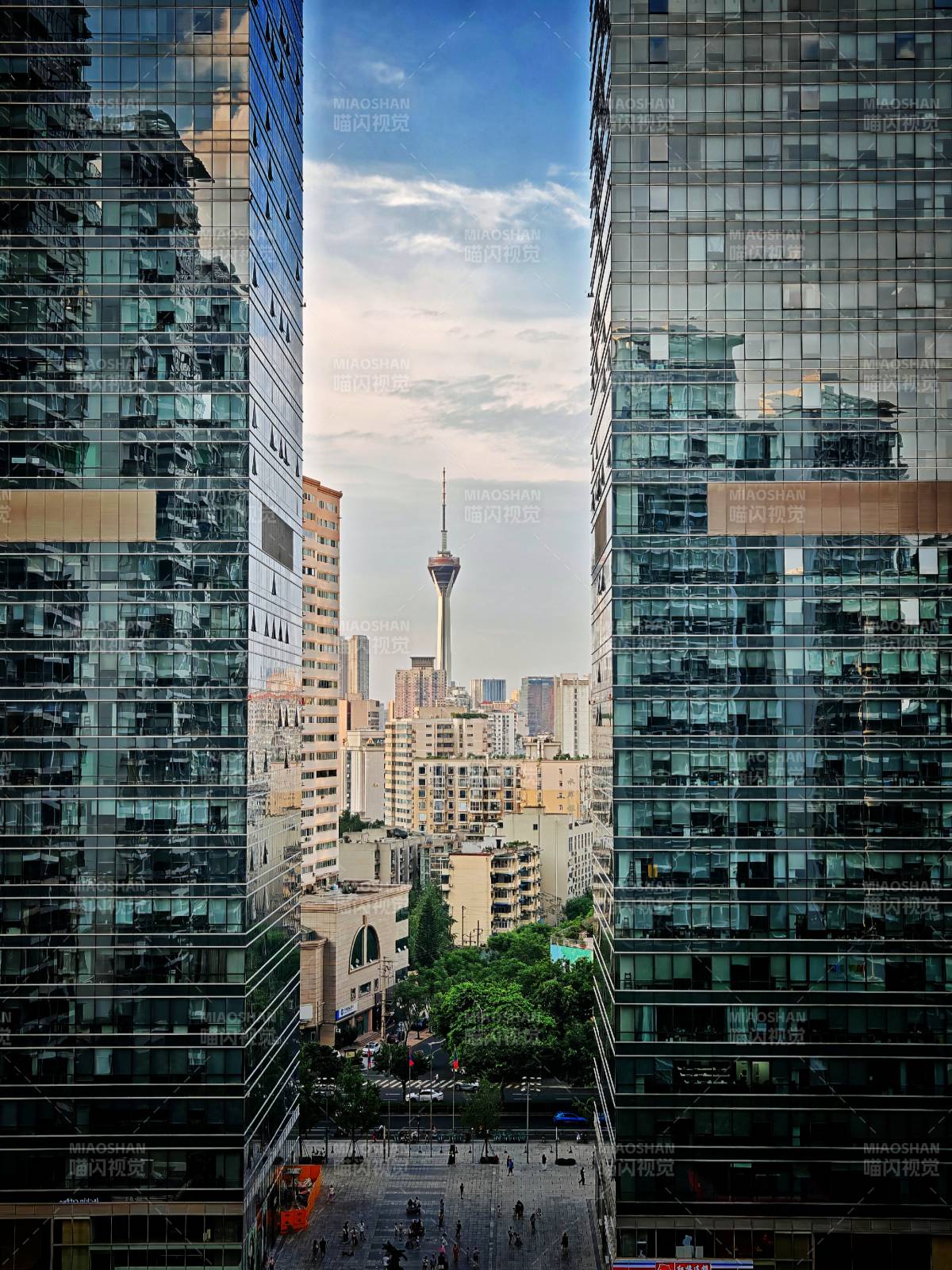 成都339电视塔图片