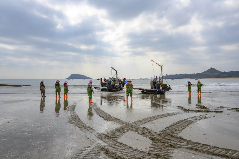 渔民滩涂作业图图片