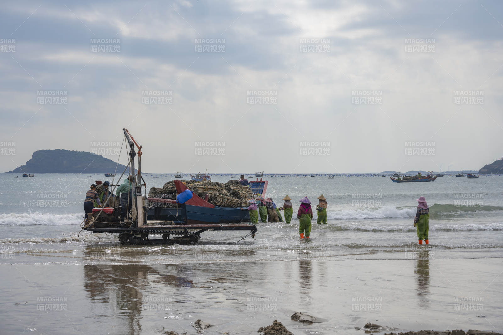 渔舟归港 渔民忙碌图片