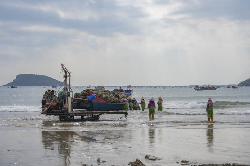 渔舟归港 渔民忙碌图片