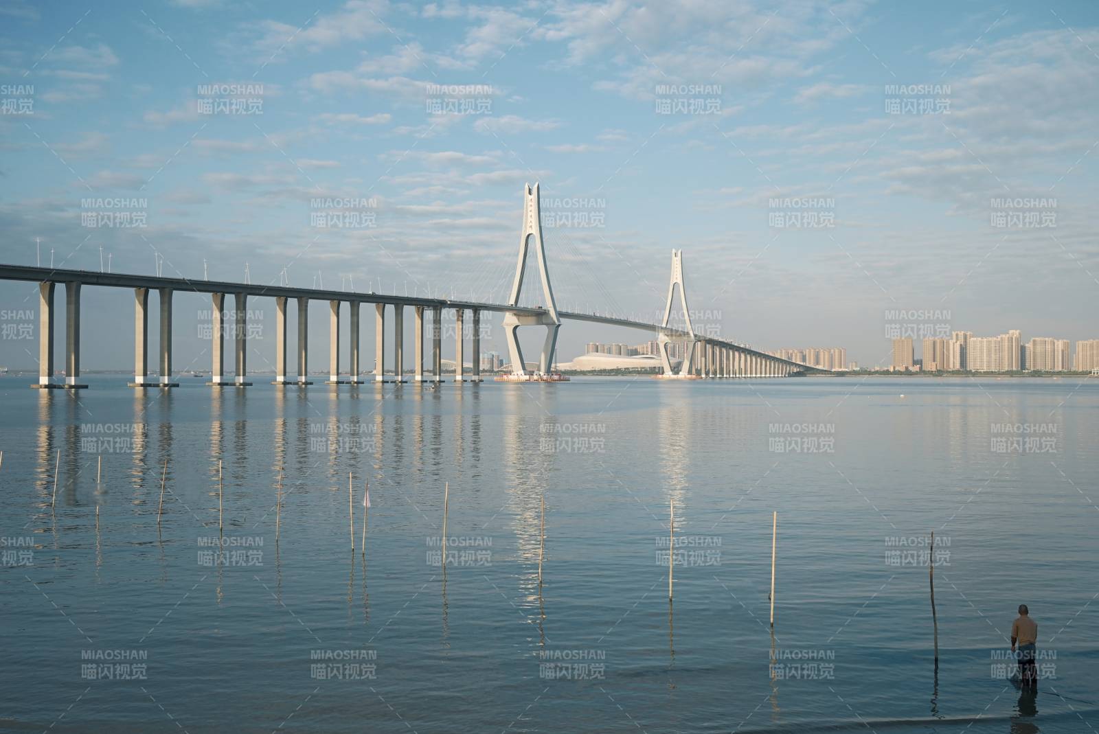 桥影下的潮汐图片