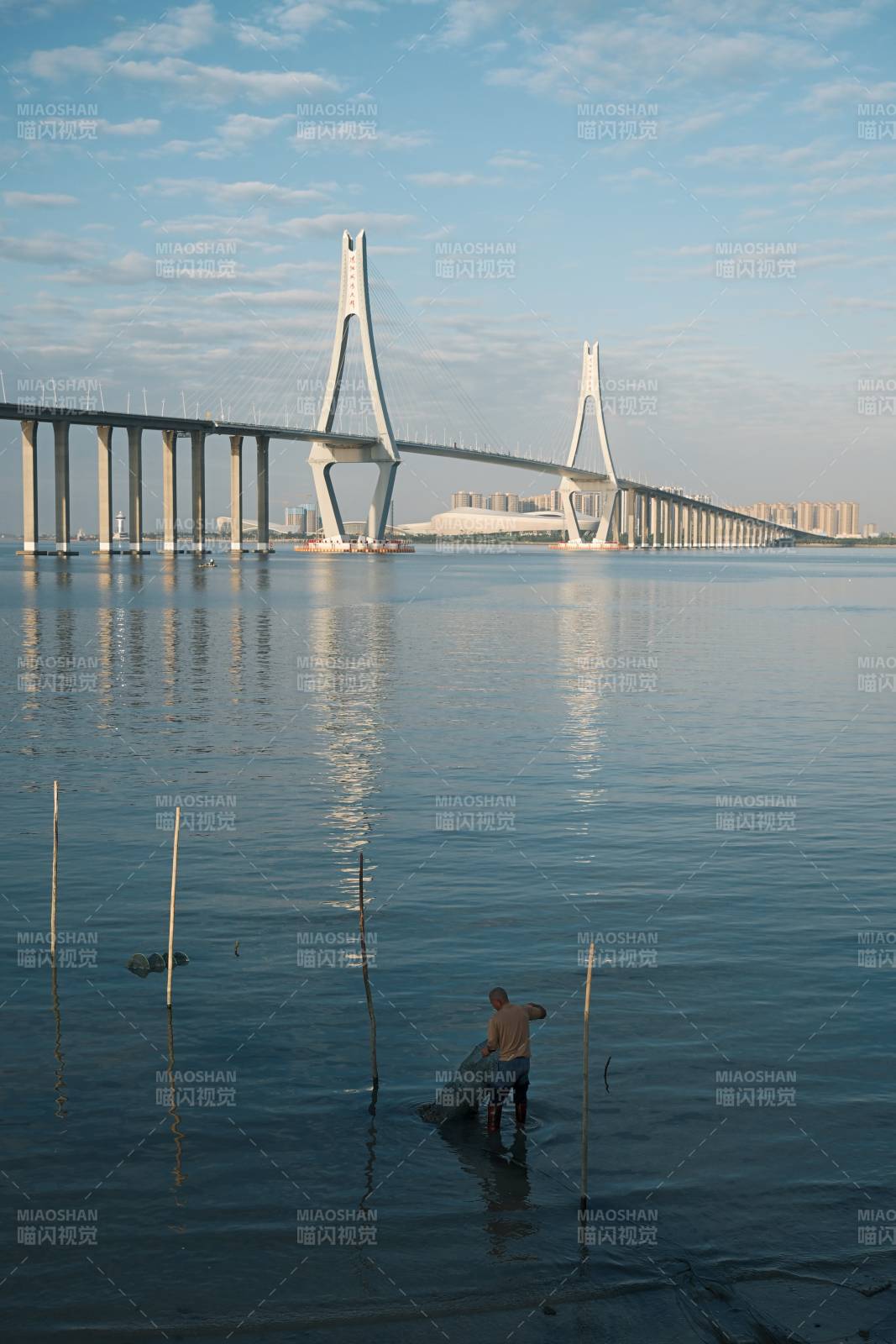 桥影下的潮汐图片