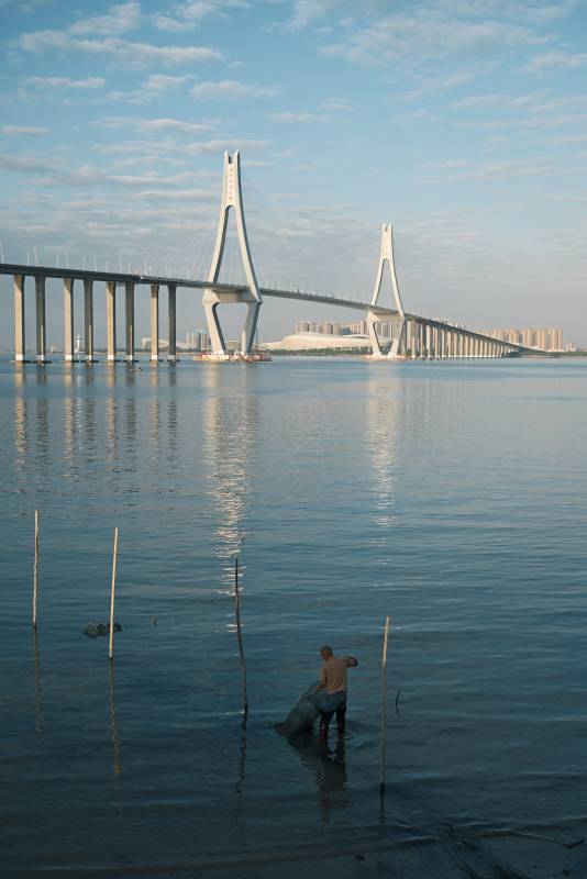 桥影下的潮汐图片