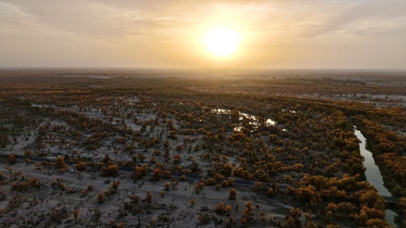 沙漠日落美景（新疆轮台）图片