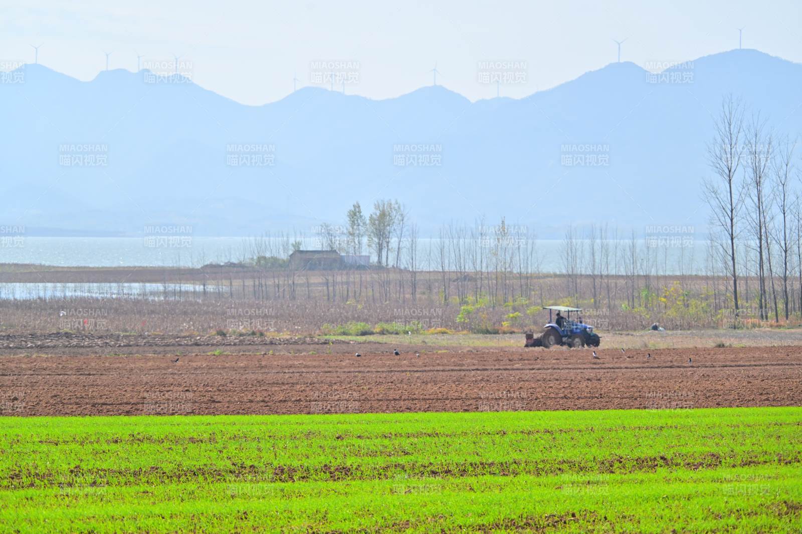 田野耕作图景图片