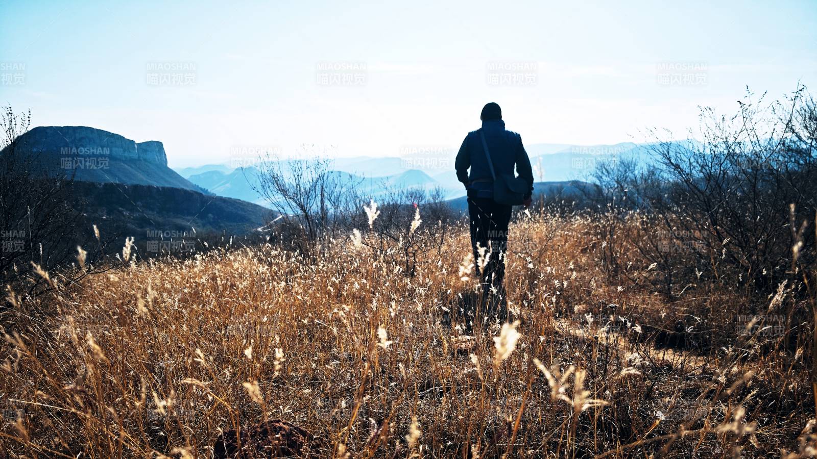 远行者背影图片