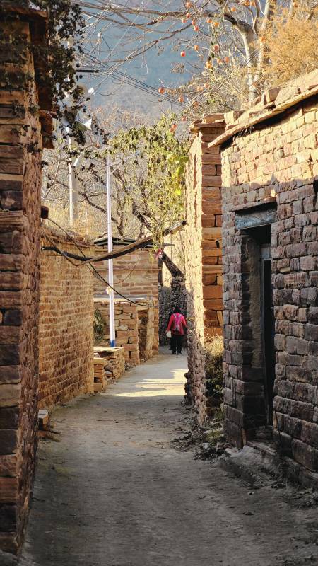 古巷深处行图片