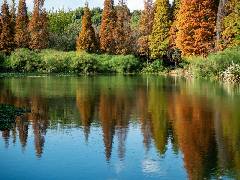 昆明海洪湿地公园的秋日美景图片