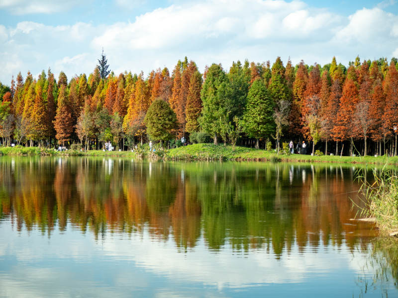 昆明海洪湿地公园的秋日美景图片
