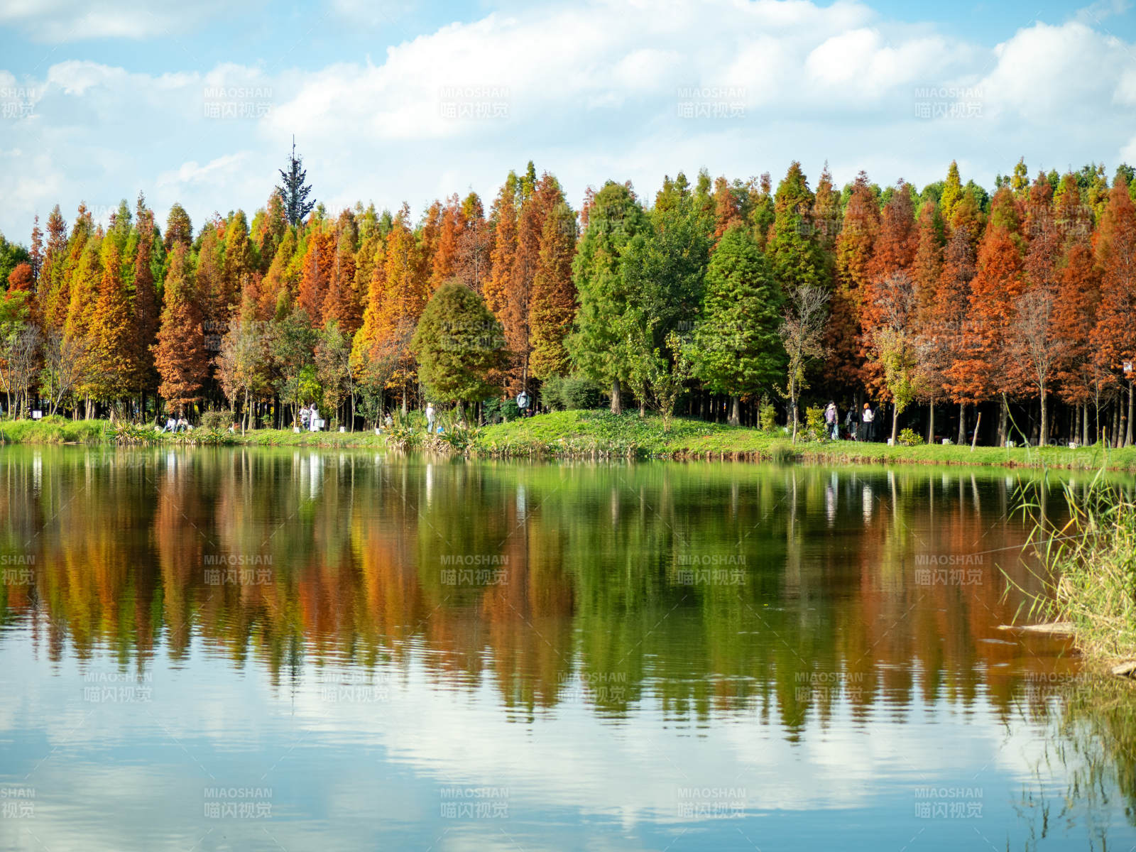 昆明海洪湿地公园的秋日美景图片