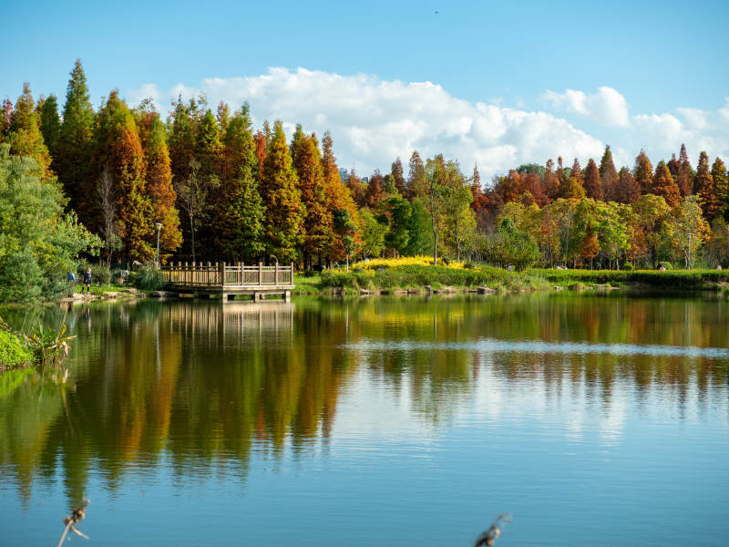 昆明海洪湿地公园的秋日美景图片