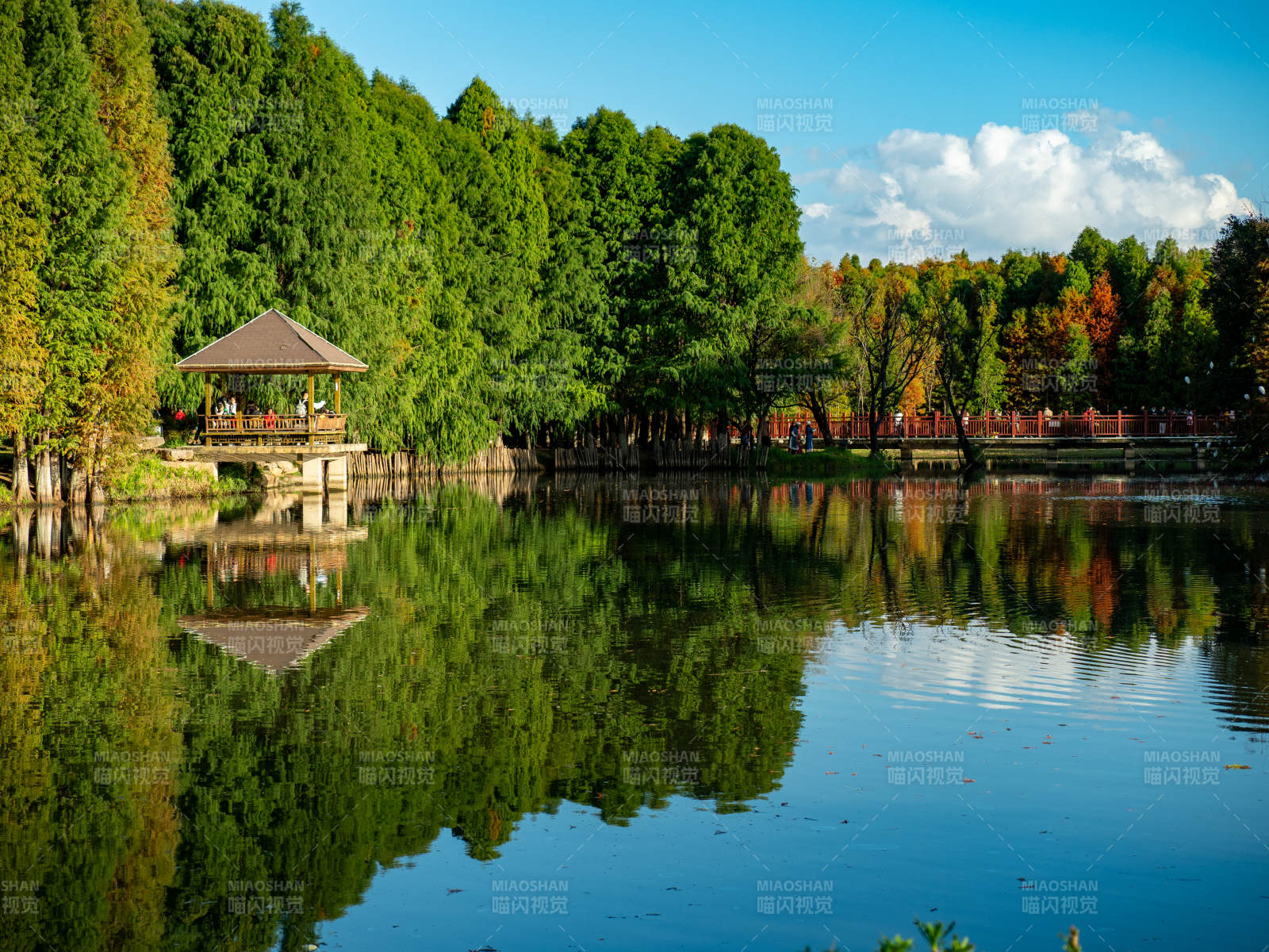 昆明海洪湿地公园的秋色美景图片