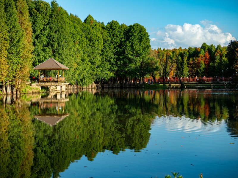昆明海洪湿地公园的秋色美景图片