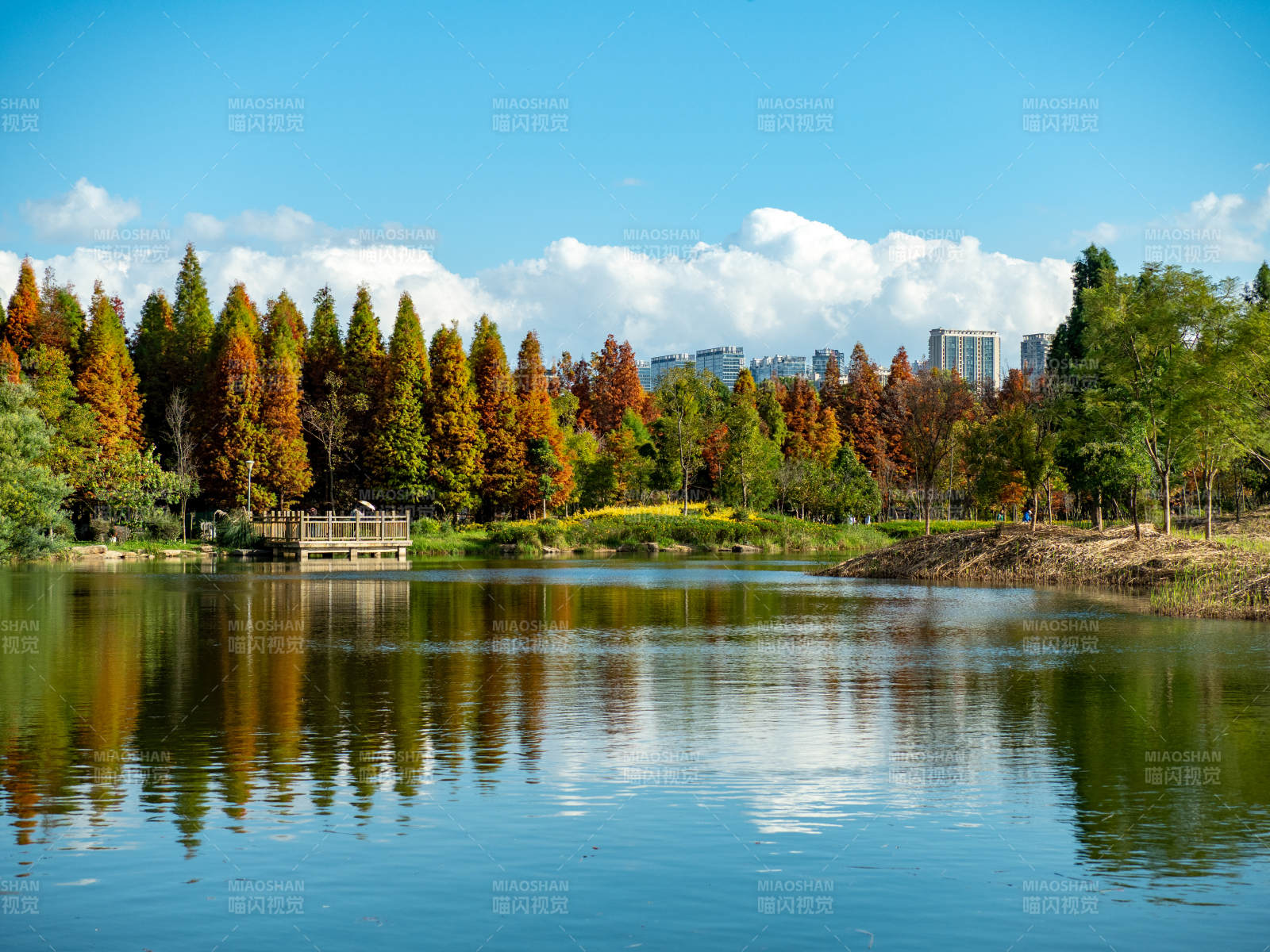 昆明海洪湿地公园的秋日美景图片