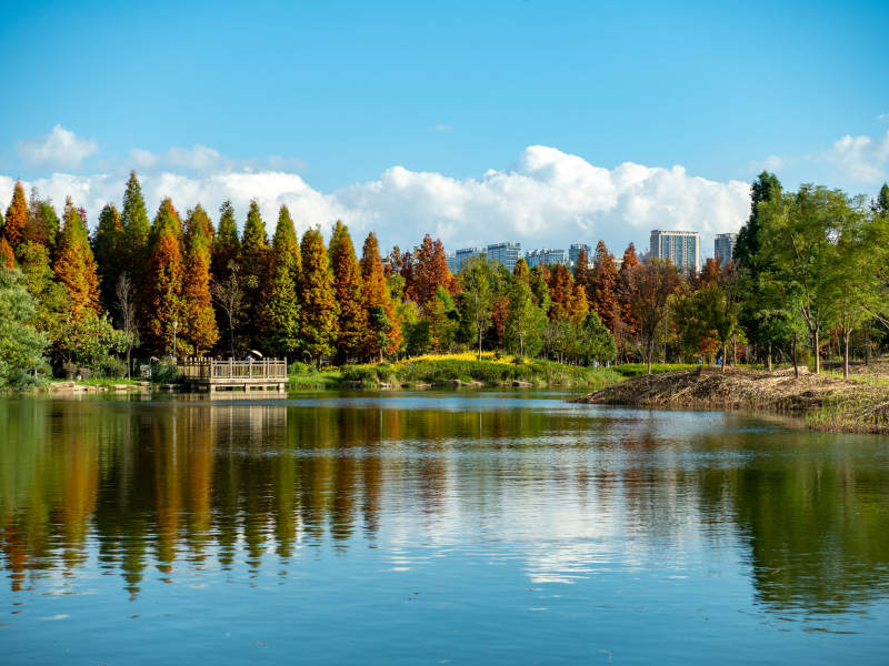 昆明海洪湿地公园的秋日美景图片